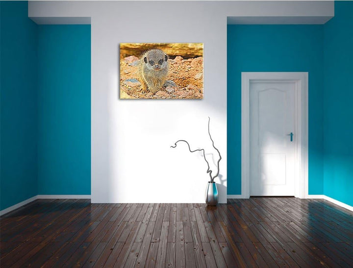 junges Erdmännchen zwischen Steinen Deluxe Format: 120x80 cm auf Leinwand, XXL riesige Bilder fertig