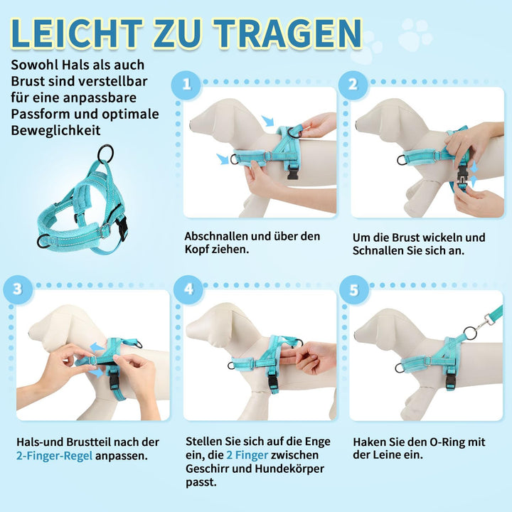 Eyein No-Pull Hundegeschirr mit Leine, Geschirr mit Weich Gepolstertes, Reflektierend, Verstellbares