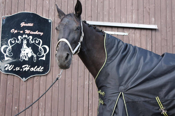 time4horses High Neck Thermodecke Pferdedecke Winterdecke Outdoordecke 100gr. 1200Denir 135 cm, 135