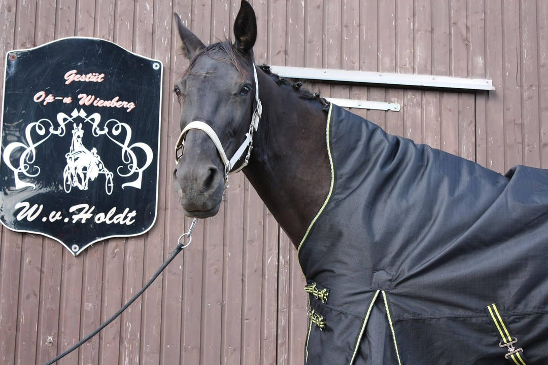 time4horses High Neck Thermodecke Pferdedecke Winterdecke Outdoordecke 100gr. 1200Denir 155 cm, 155