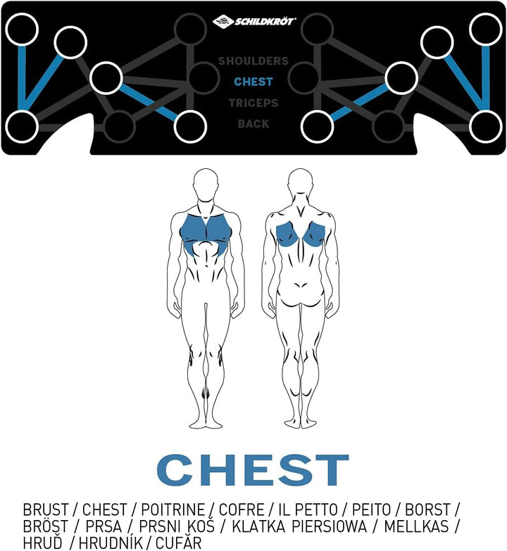 Schildkröt Push-Up Multitrainer, Push Up Board für das Muskelaufbautraining, Trainingsgerät für Zuha
