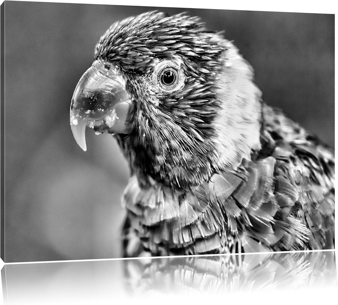 Pixxprint farbenfroher Papagei als Leinwandbild/Grösse: 100x70 cm/Wandbild/Kunstdruck/fertig bespann