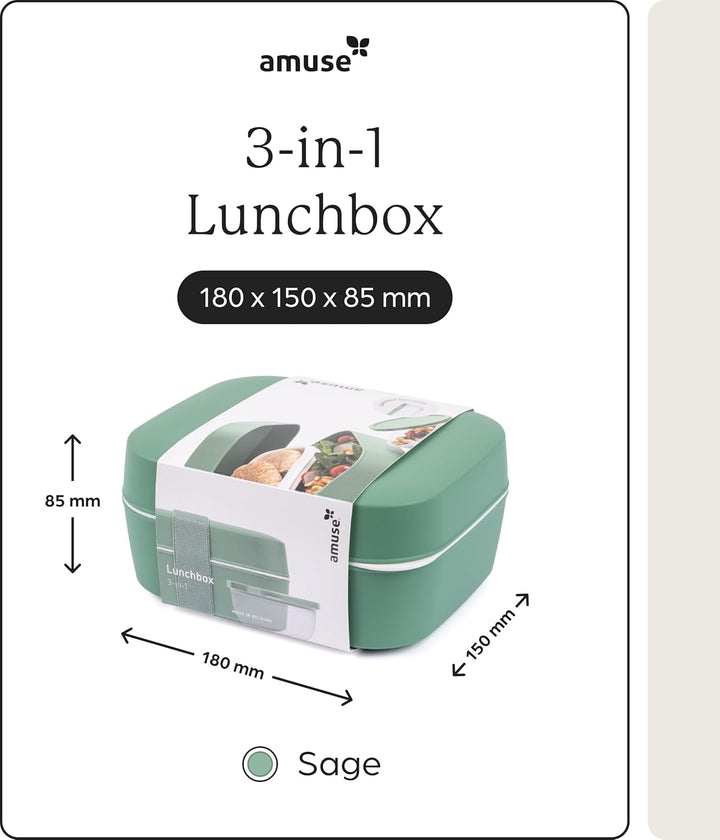 Amuse Lunchbox Erwachsene | Salat To Go Box, Brotdose Erwachsene oder Jausenbox Kinder | Bento Box |