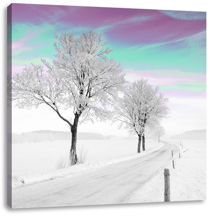 Pixxprint Schneebedeckter Baum in schöner Winterlandschaft schwarz/weiss, Format: 70x70 auf Leinwand