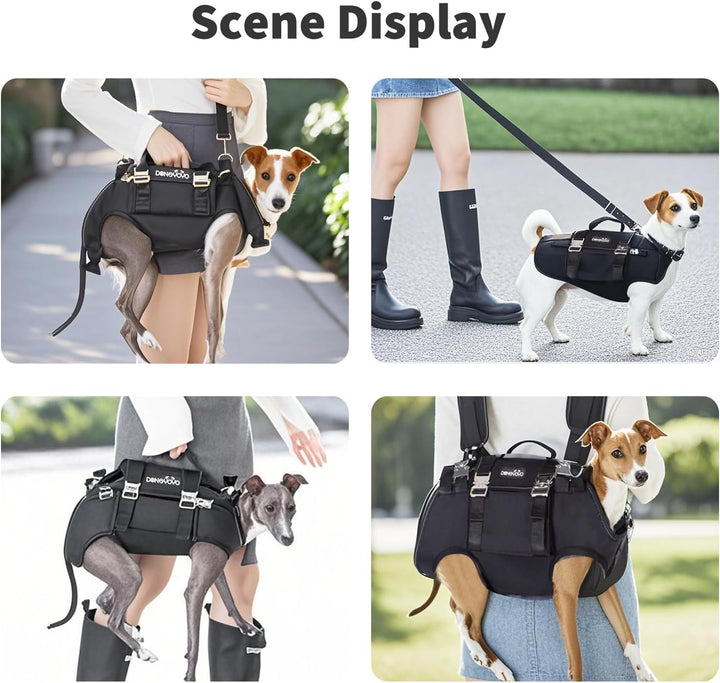 PETCUTE 4-in-1 Hunderucksack,Hundetasche für kleine Hunde,Einstellbar Hundegeschirr mit Abnehmbarem