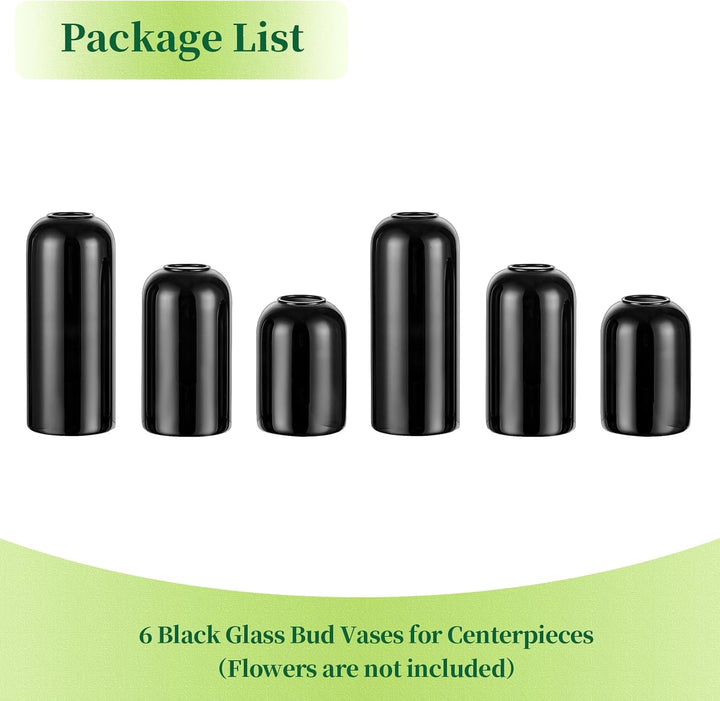 Hewory Kleine Vasen für Tischdeko: 6er Set Vase Schwarz Deko Glaszylinder Vase Glas, Klein Glasvase