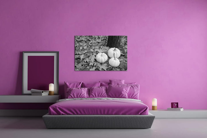 deyoli frische Kürbise Effekt: Schwarz&Weiss Format: 120x80 als Leinwandbild, Motiv fertig gerahmt a