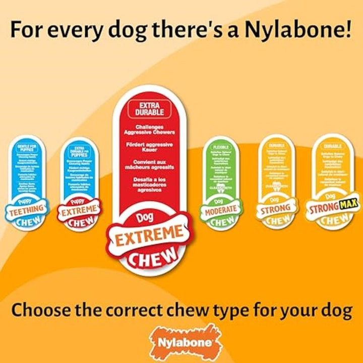 Nylabone, Extrem starker Kaueffekt, Neuartiges Kauspielzeug aus Brokkoli, Langlebiges Kauspielzeug m