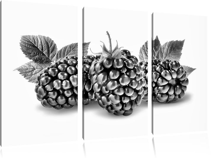 Pixxprint Leckere Brombeeren als Leinwandbild | Grösse: 3 Teilig (120x80) | Wandbild| Kunstdruck | f