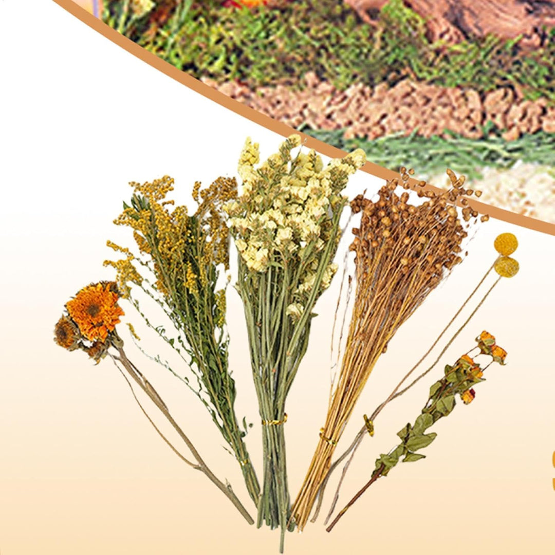 Hamster Heublumen Einstreu, Blumen-Hamster-Bettwäsche, Trockenblumen Für Hamster, Trockenblumen-Hams