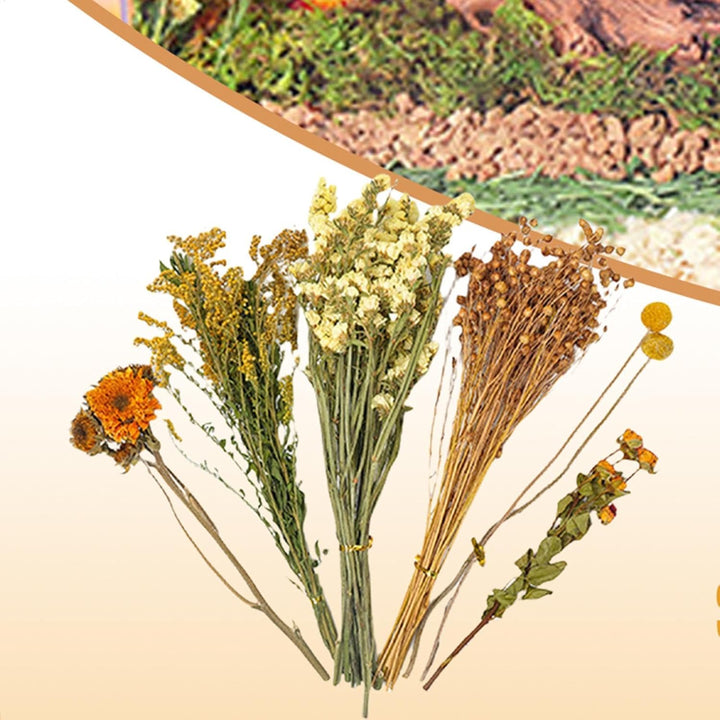 Hamster Heublumen Einstreu, Blumen-Hamster-Bettwäsche, Trockenblumen Für Hamster, Trockenblumen-Hams