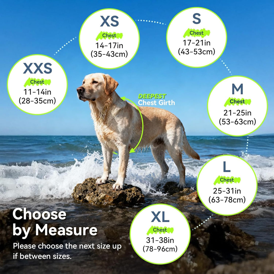 VIVAGLORY Rip Stop Schwimmweste Hund, Hundeschwimmweste, Schwimmhilfe & Auftrieb, Rettungsweste Hund