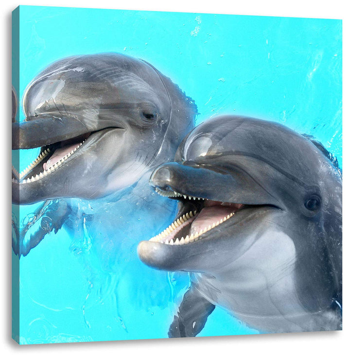 Pixxprint Delfinpaar, Format: 70x70 auf Leinwand, XXL riesige Bilder fertig gerahmt mit Keilrahmen,