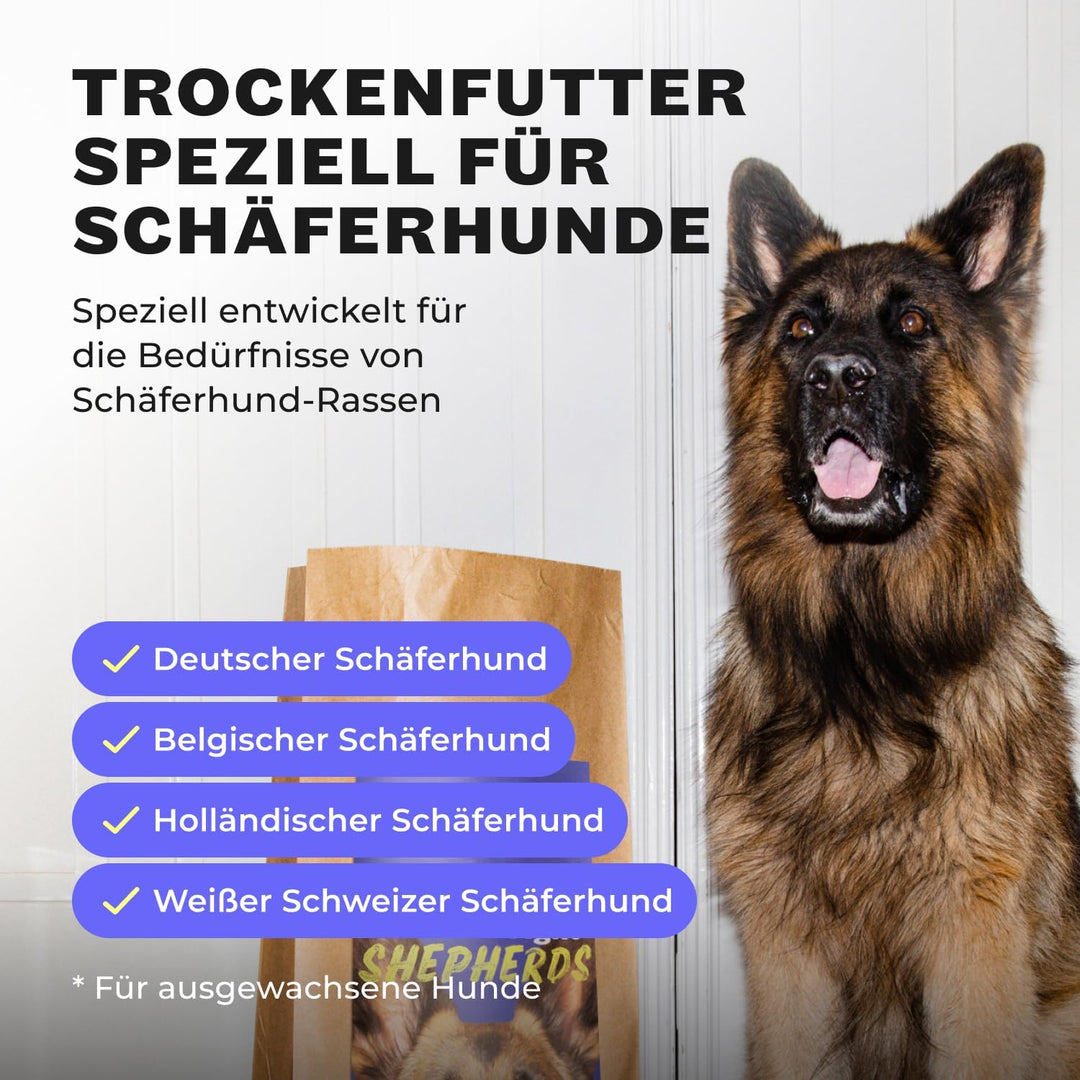 HEY HOLY – Shine-Bright-Shepherds Trockenfutter für ausgewachsene Hunde mit 40% Ente– 1er Pack (7kg)