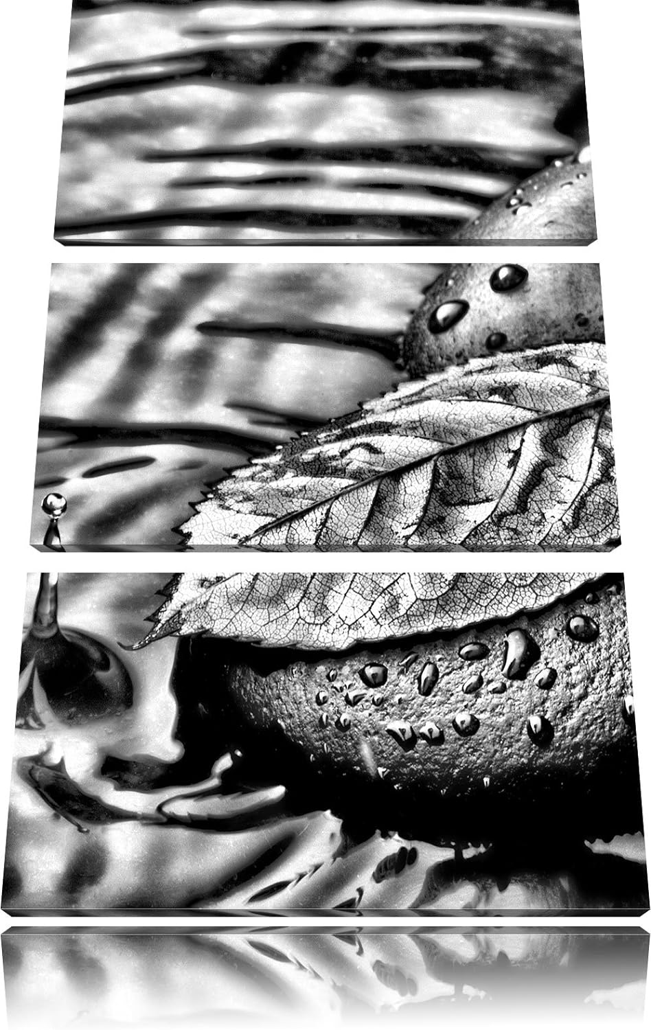 Pixxprint Stein mit Blatt als Leinwandbild/Grösse: 3 Teilig (120x80) cm/Wandbild/Kunstdruck/fertig b