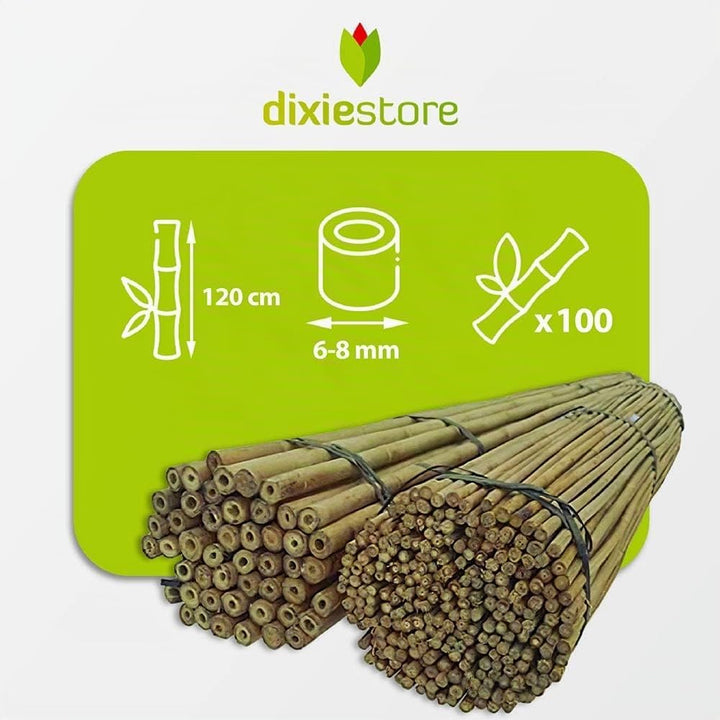 DIXIE STORE Bambusstäbe - Bambusstangen Set Blumenstützen - Robuste Pflanzenstäben aus Bambus 120 cm