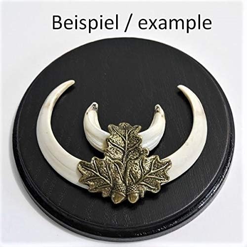 3 Stück Keilerschild Keilerbrett Gewaffbrett Trophäenschild rund dunkel AF 15 cm mit 3 x Eichenlaub