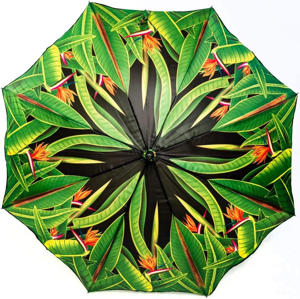 LUCKYWEATHER Regenschirm Stockschirm Damen Motiv Strelitzien I Stockregenschirm gross und stabil sow