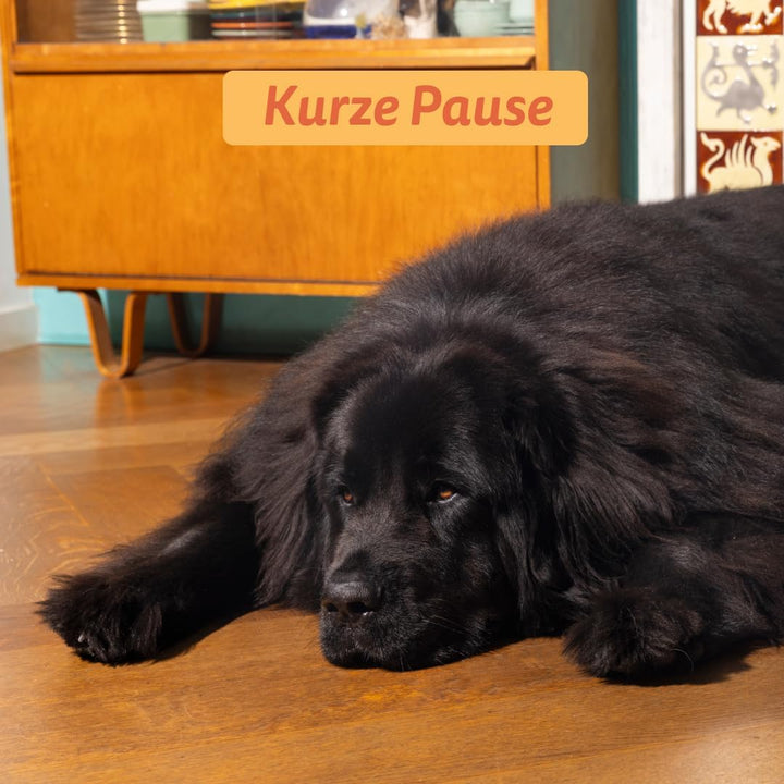 Edgard &amp; Cooper Hundefutter Trocken Getreidefrei Hund Erwachsene Adult Natürliche 7kg Huhn mit viel