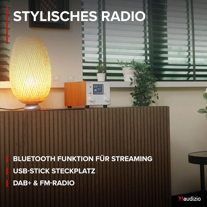 Audizio Vieste - DAB Radio mit Bluetooth, Digitalradio, 60 Watt Lautsprecher, DAB Plus Radio mit USB