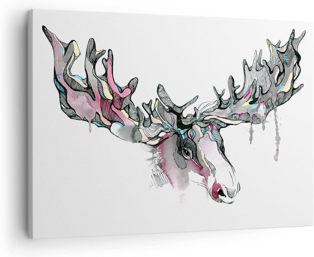 Bilder auf Leinwand Moose Bunt Kopf Abbildung Leinwandbild 70x50cm Wandbilder Dekoration Wohnzimmer