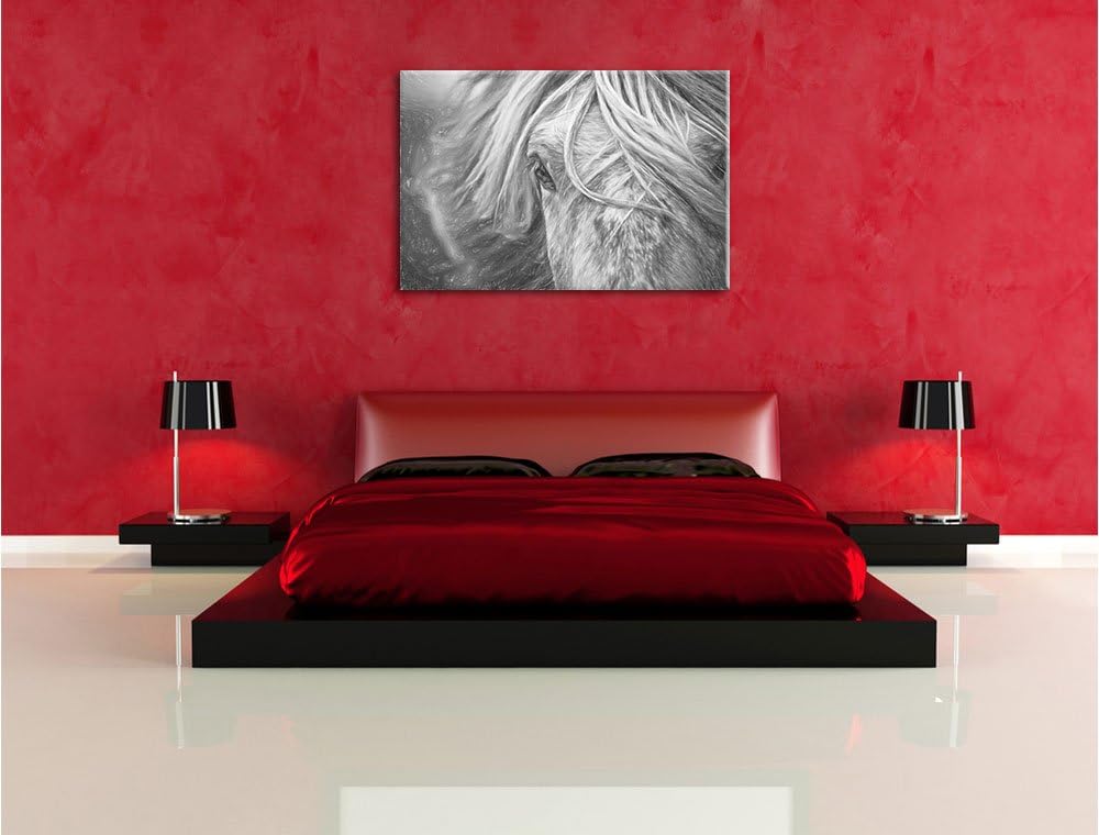 Pixxprint Islandpony in den Westfjorden als Leinwandbild/Grösse: 100x70 cm/Wandbild/Kunstdruck/ferti