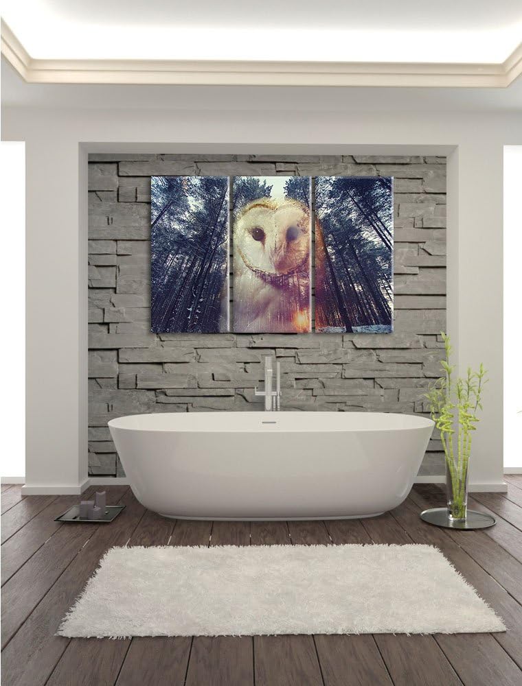 Pixxprint Portrait Einer Eule als Zeichen des Waldes 3-Teiler Leinwandbild 120x80 Bild auf Leinwand