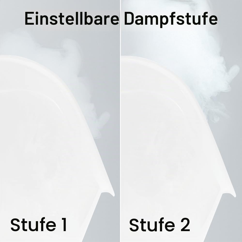 Rio FSTE-EU Gesichtssauna und Dampfbad