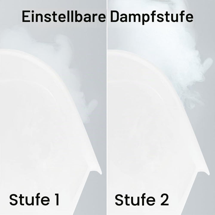 Rio FSTE-EU Gesichtssauna und Dampfbad