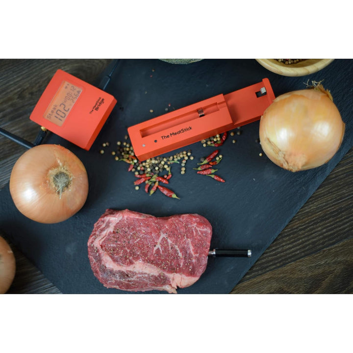 The MeatStick BR651 Set 3: mit WiFi Bridge, Ladegerät und Transporttasche