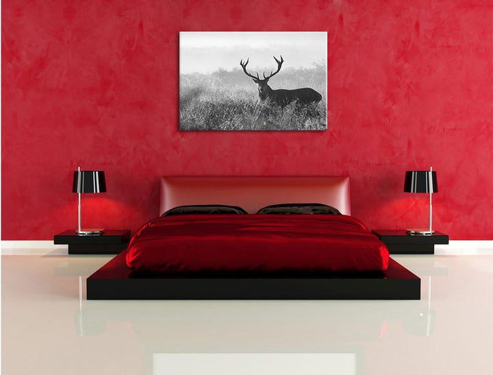 Pixxprint Rotwild Hirsch in Abenddämmerung / 100x70cm Leinwandbild bespannt auf Holzrahmen/Wandbild