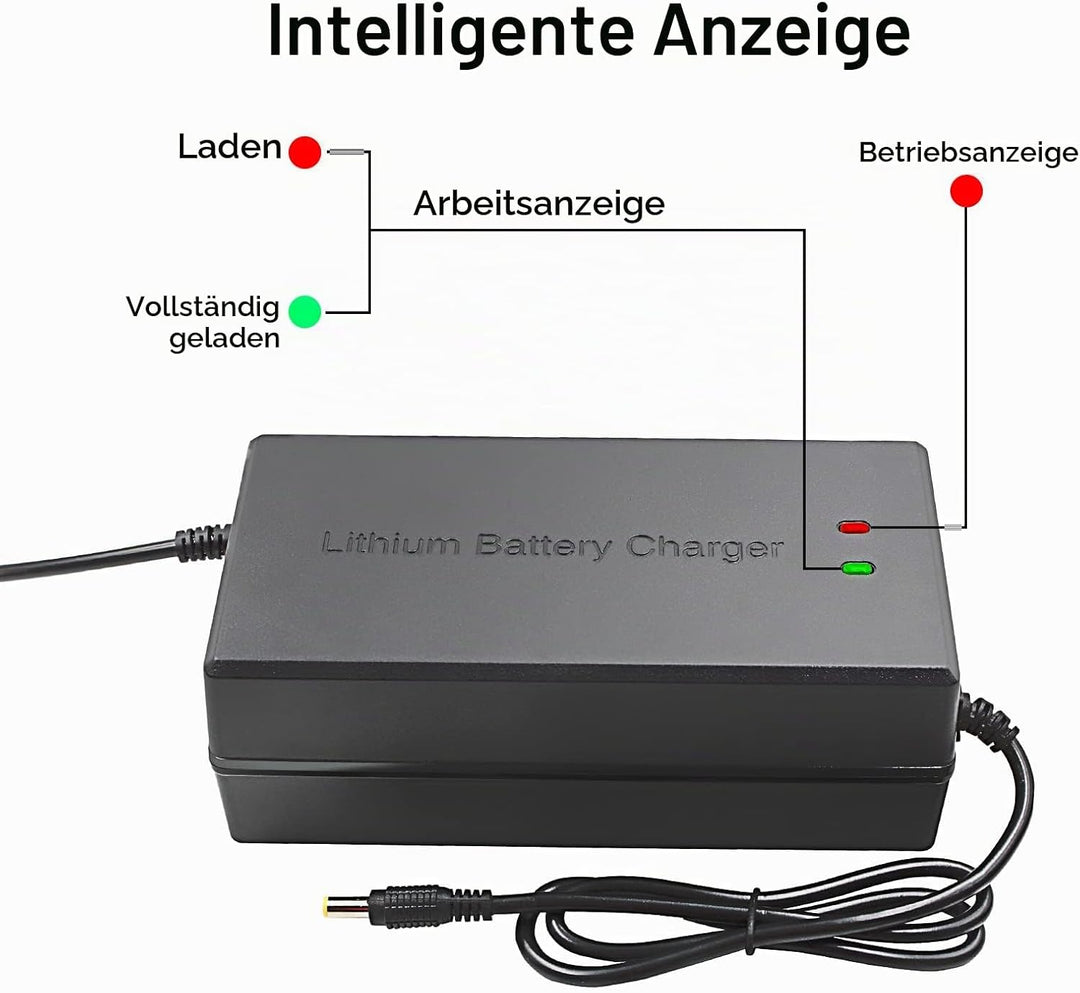 58.8V 5A Li-ion Ladegerät Mehrere Stecker Für Elektrofahrrad Roller E-Bike Boot Motorrad Ladegerät 1