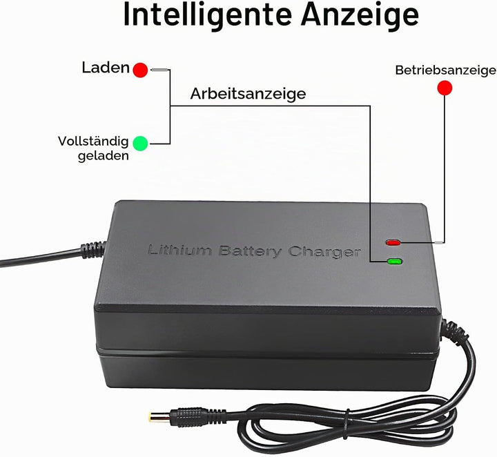 58.8V 5A Li-ion Ladegerät Mehrere Stecker Für Elektrofahrrad Roller E-Bike Boot Motorrad Ladegerät 1