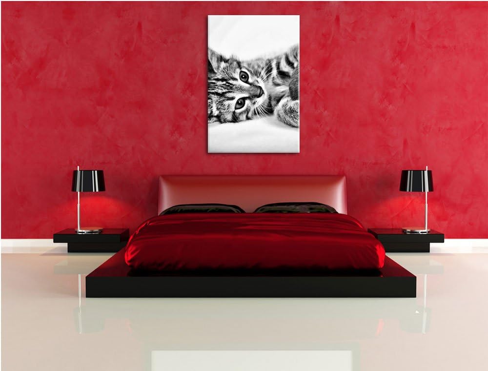 Pixxprint Monocrome, Kätzchen mit Wollknäul, Format: 100x70 auf Leinwand, 100x70
