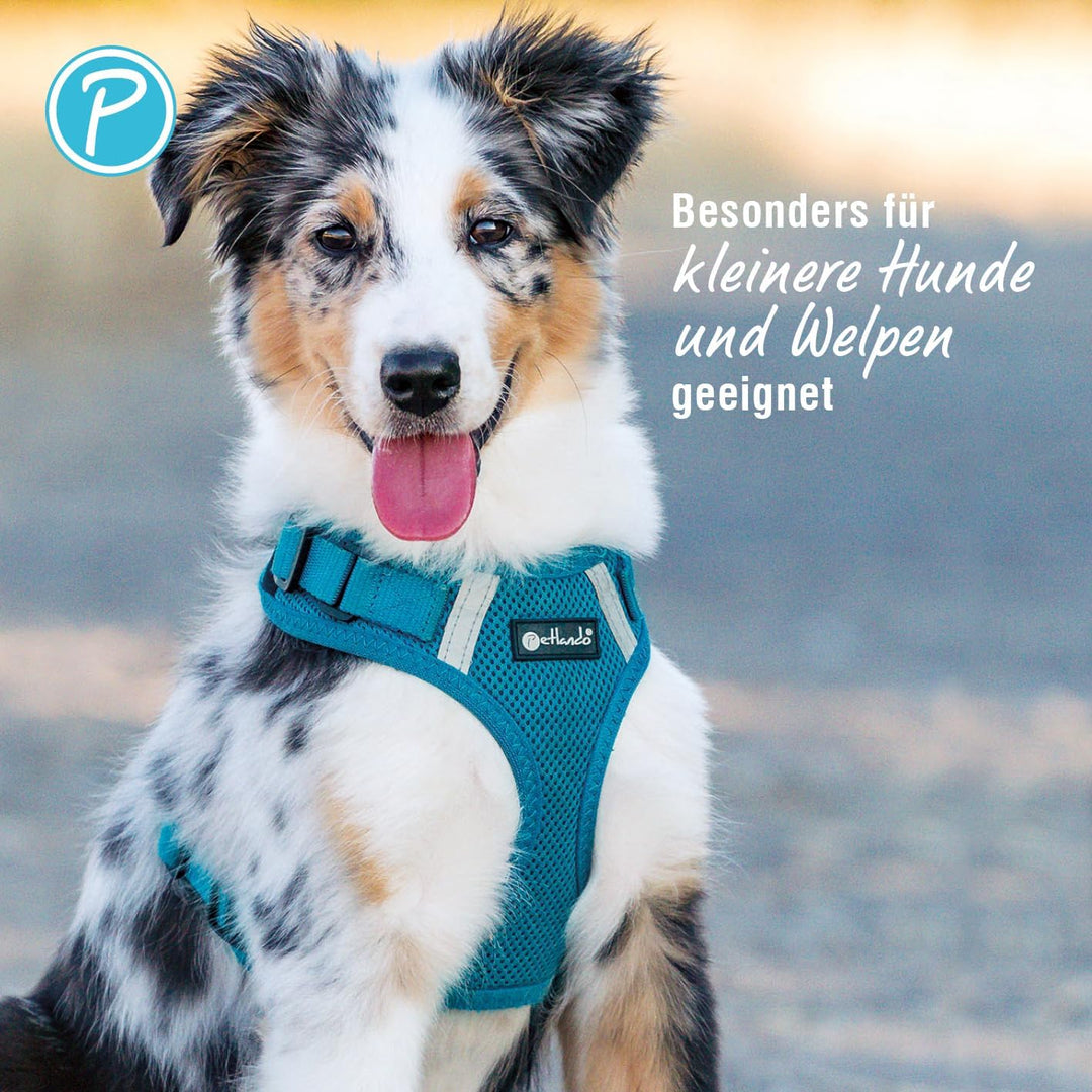 Petlando Hundegeschirr Mesh Vest, leichtes Brustgeschirr aus weichem Mesh & Nylon, stufenlos verstel