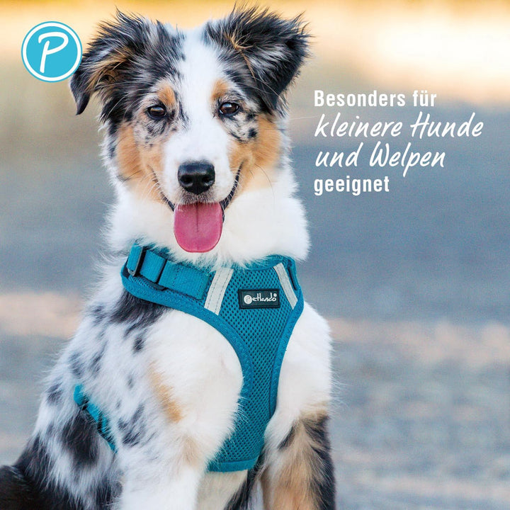 Petlando Hundegeschirr Mesh Vest, leichtes Brustgeschirr aus weichem Mesh & Nylon, stufenlos verstel
