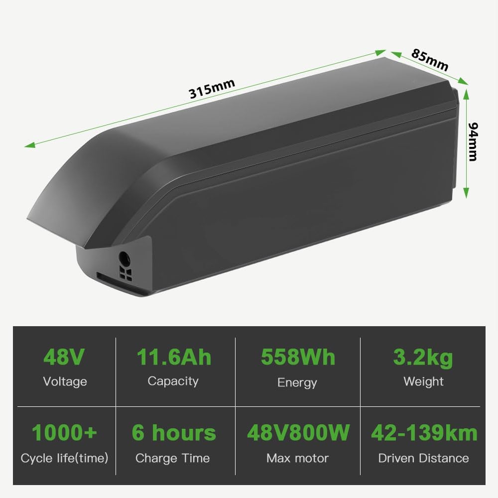 E-Bike 48V 11,6Ah Li-ion Batterie mit Ladegerät Phylion Akku SF-06S JCEB480-11.6 für 250W-800W E-Bik