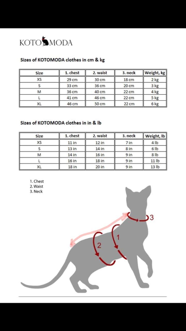CAT WEAR T-Shirt dunkelblau-rot-weiя gestreift (XS) Blue Red White X-Small, Blue Red White X-Small
