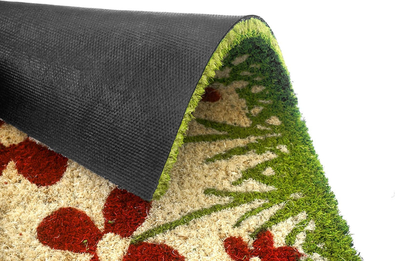 Carpido Fussmatte Kokos Blumenwiese Natur – Türmatte 40x60 cm 2er Set – antibakterielle Matte – Koko