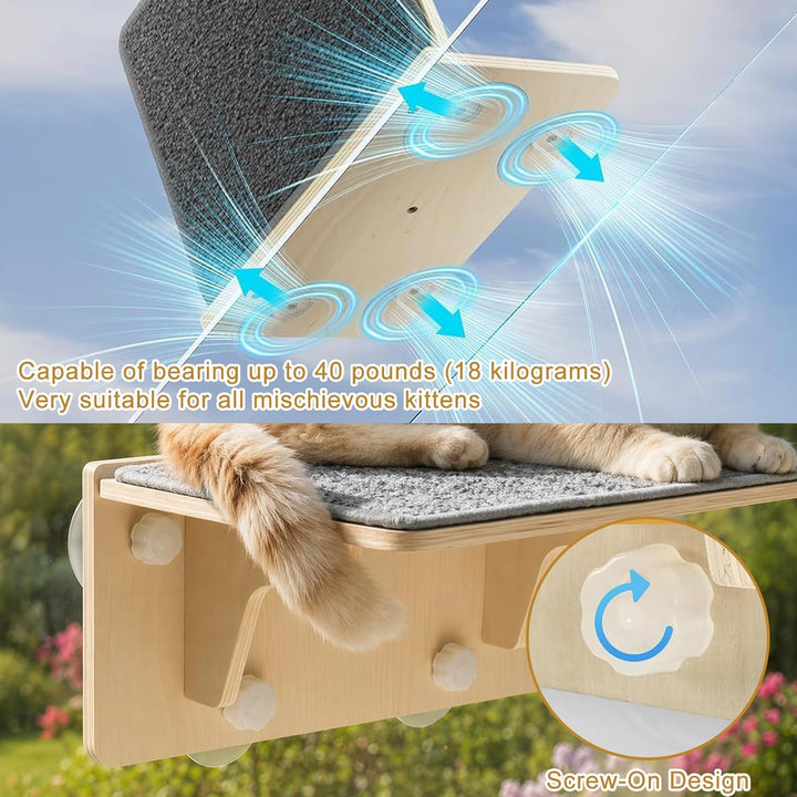 Katzen Fensterplätze (bis 16 kg), 2-in-1 für Wand &amp; Glas, Katzenkletterwand mit Waschbar Abnehmbar F