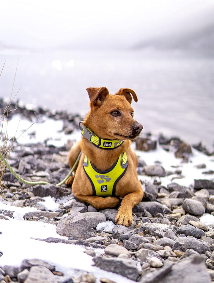 Hurtta Weekend Warrior Hundegeschirr für Grosse Hunde, Neon Gelb 80-100 cm Neon Lemon 32-39 in, Neon