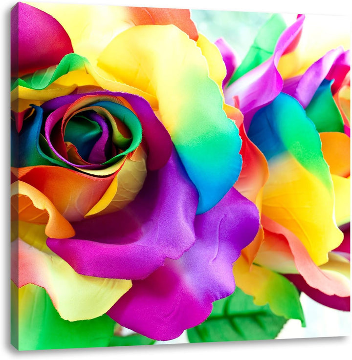 Kunterbunte Rosen, Format: 70x70 auf Leinwand, XXL riesige Bilder fertig gerahmt mit Keilrahmen, Kun