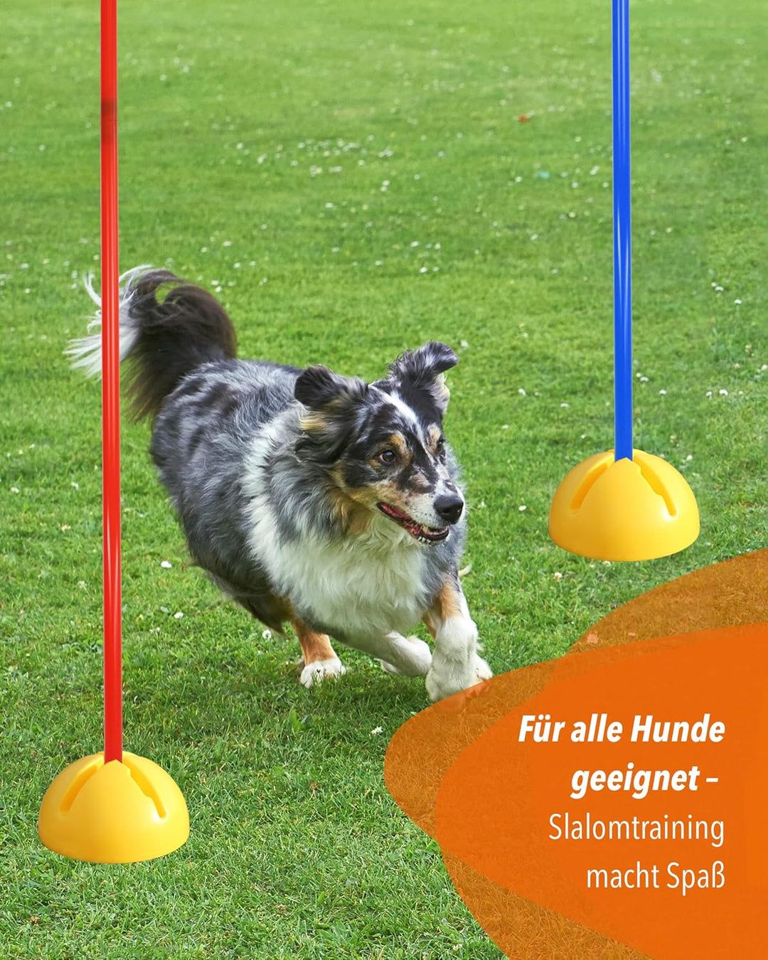 Kombi-X-Standfuss aus Kunststoff & Slalomstange 180 cm – 4er Set – befüllbarer Standfuss – Stange fü
