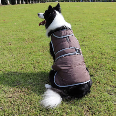 PETCUTE Hundejacke Winter Hundewintermantel Warme Winterjacke für kleine Hunde grosse Hunde Weste Fl