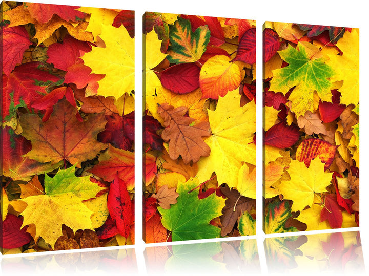 Pixxprint Herbstblätter / 3-Teilig/Gesamtmass 120cm Leinwandbild bespannt auf Holzrahmen/Wandbild Ku
