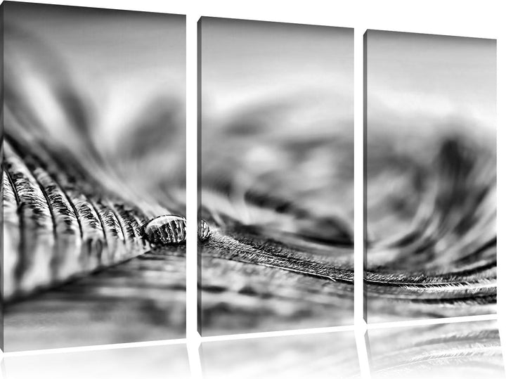 Pixxprint Pfauenfeder Detailaufnahme als Leinwandbild/Grösse: 3Teilig (120x80) / Wandbild/Kunstdruck