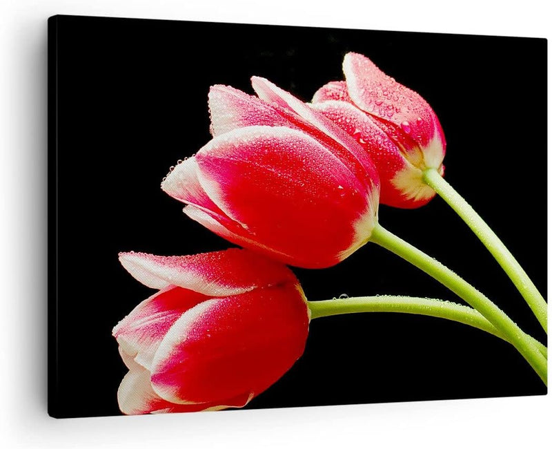 Bilder auf Leinwand Tulpe garten blume blumenstrauss Leinwandbild 70x50cm Wandbilder Dekoration Wohn