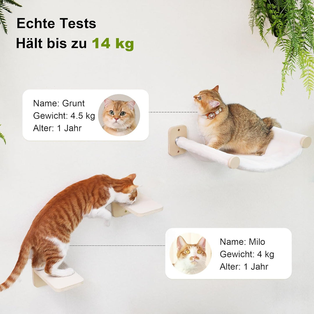 FUKUMARU Kletterwand Katzen, Katzenmöbel mit 2 Katzentreppe Wand,Katzenbaum Hängematte aus Birke meh