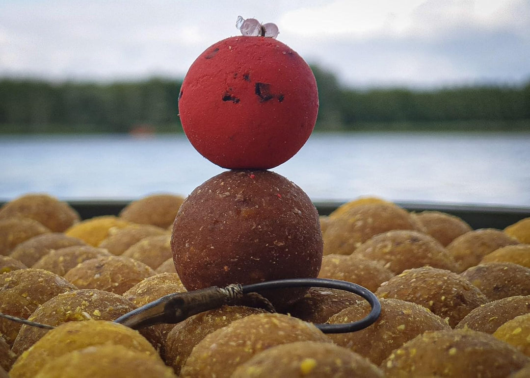 Tandem Baits Karpfen Futter Angelfutter Pop Ups Boilies Zig Rig Chod Rig Hakenköder Carp Food Perfec