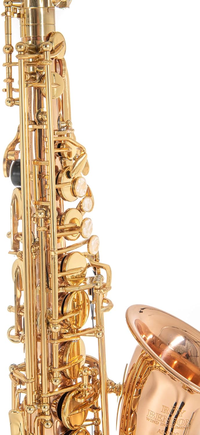 Roy Benson Eb-Alt Saxophon MOD:AS-202G Bronze Korpus lack., inkl. leichtem Rechtecketui, AS-202G